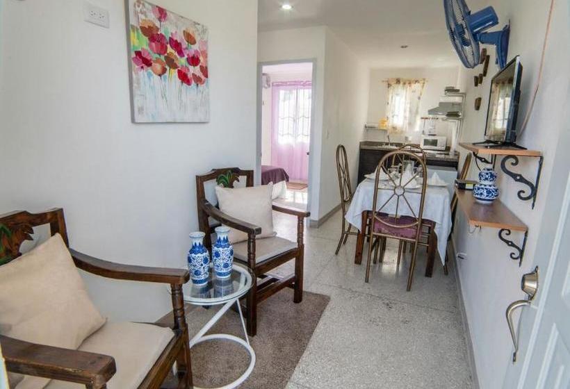 Apartamentos Magallanes Romana