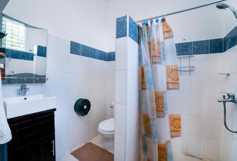 Apartamentos Magallanes Romana