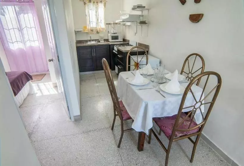 Apartamentos Magallanes Romana