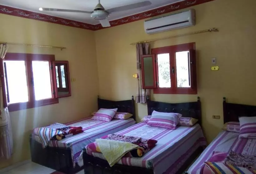 پانسیون El Amin Guest House