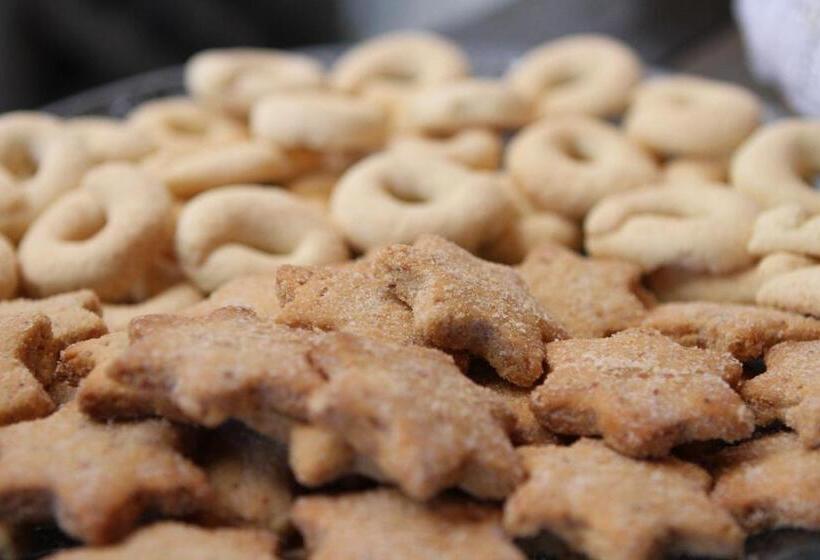 פנסיון Pousada Relíquias Do Tempo