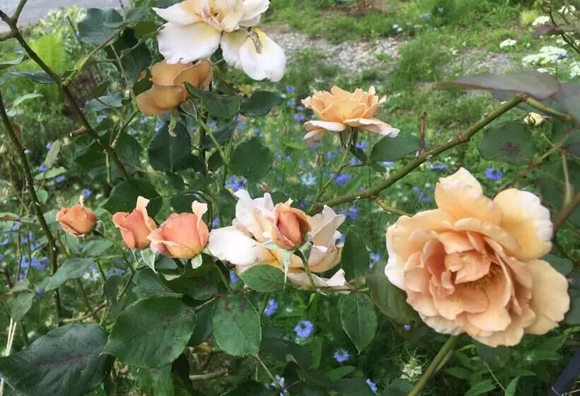 ペンション Wakka