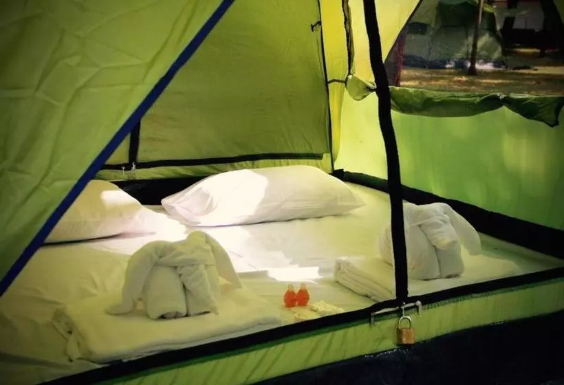 Lomakeskus Singha Rubber Tree Kanchanaburi