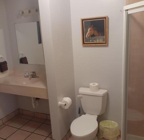 فندق Stagecoach Suites