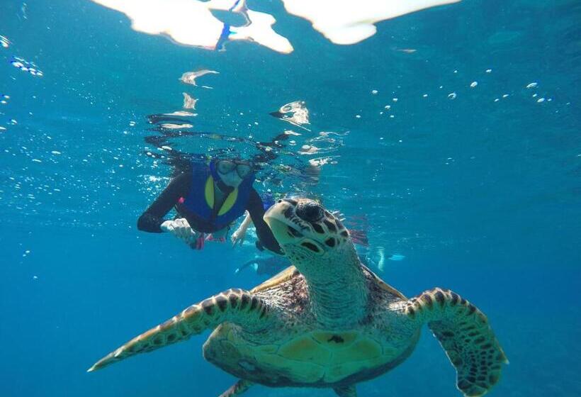 Panzió Sunrise Beach