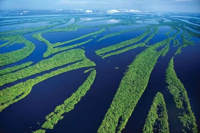 Majatalo Amazônia Parksuítes