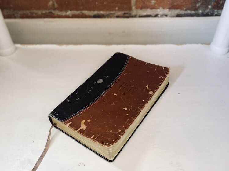 Отель Eighteenninety Sleepover