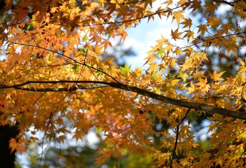 日式旅馆 Kyousen