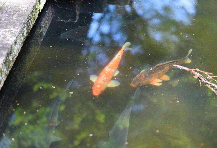 日式旅馆 Kyousen