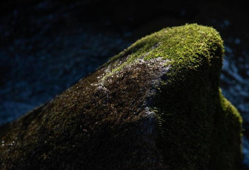 日式旅馆 Kyousen