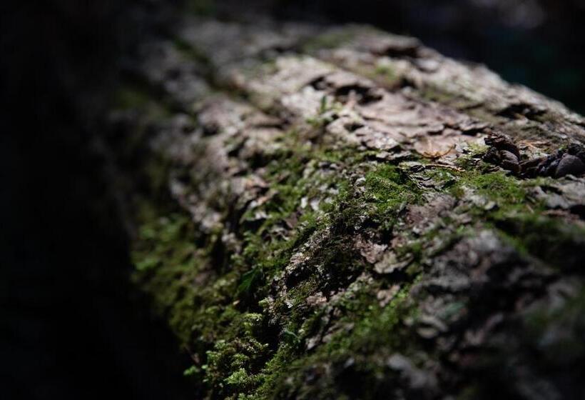 日式旅馆 Kyousen