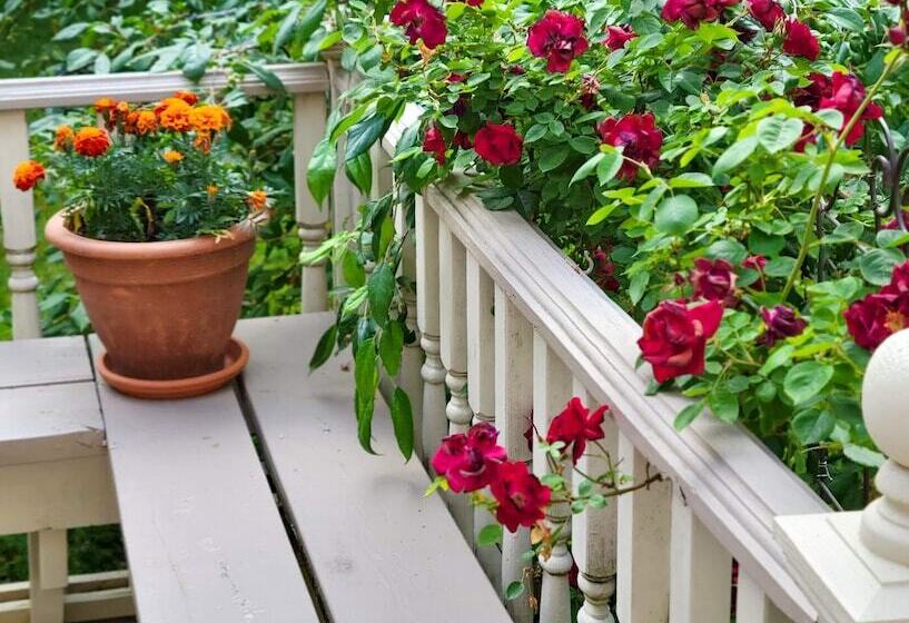 The Lamplighter Bed & Breakfast Of Ludington