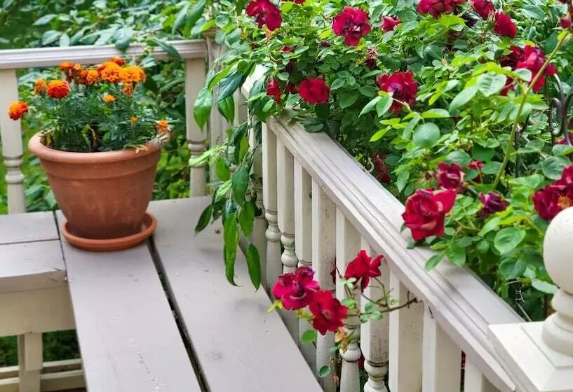 The Lamplighter Bed & Breakfast Of Ludington