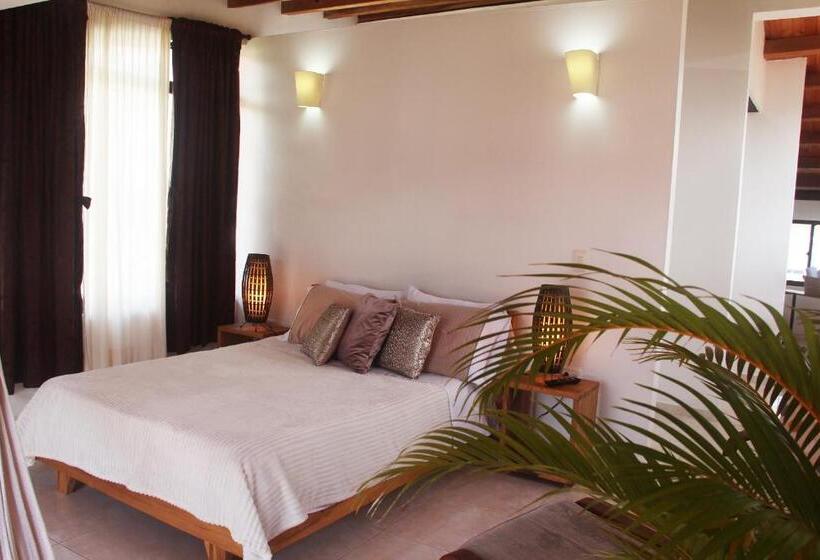 Pansiyon Casa Dornella Casa De Hospedaje