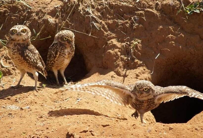 Hotel Fazenda Itáytyba