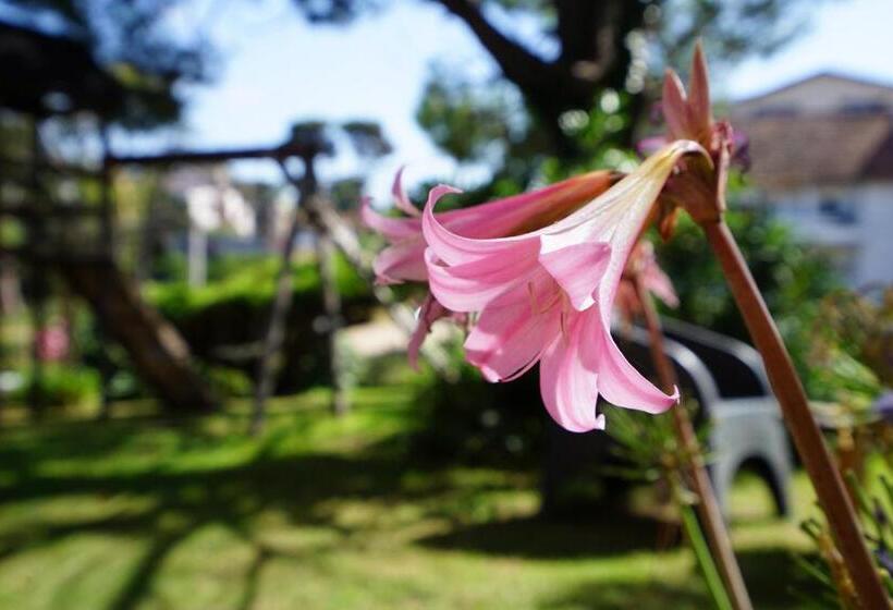 La Morada Apart Boutique & Spa