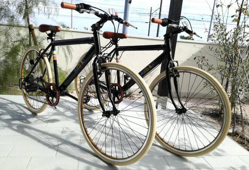 Pension Guest House Diphylleia Grayi