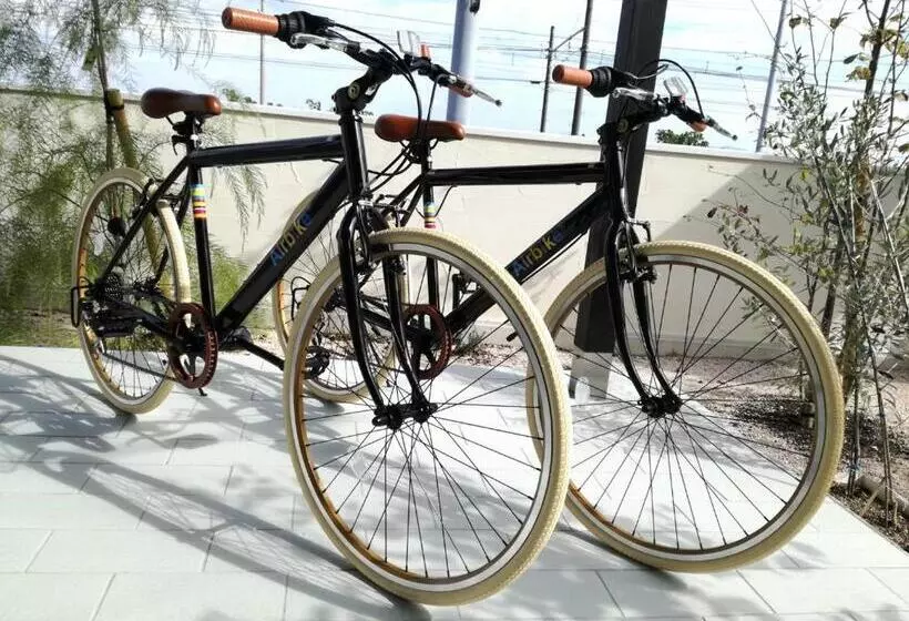 Majatalo Guest House Diphylleia Grayi