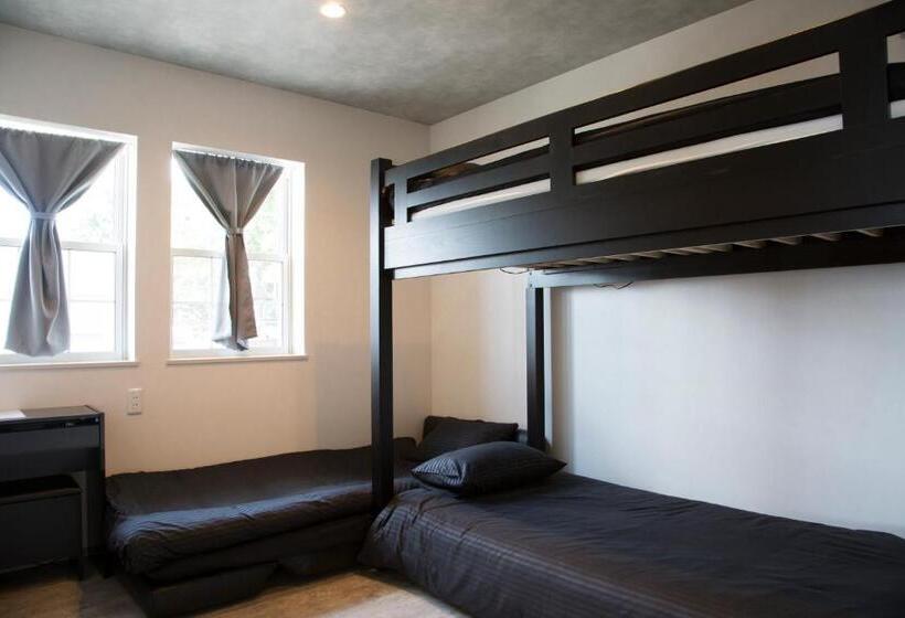 Pension Guest House Diphylleia Grayi