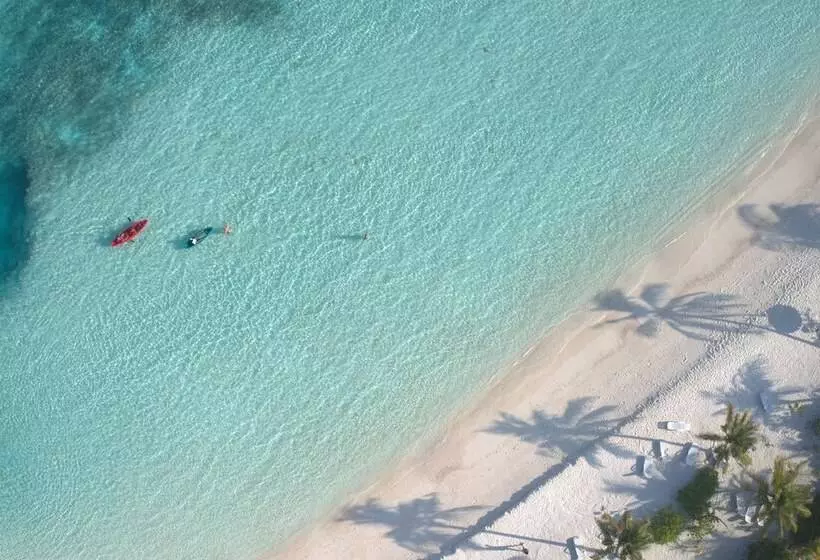 پانسیون Araamu Hotels Maldives At Dhiffushi