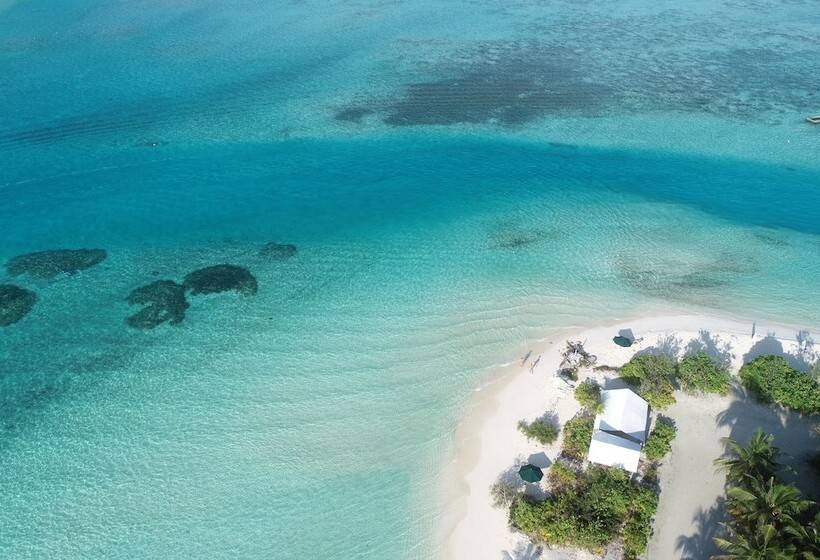 پانسیون Araamu Hotels Maldives At Dhiffushi