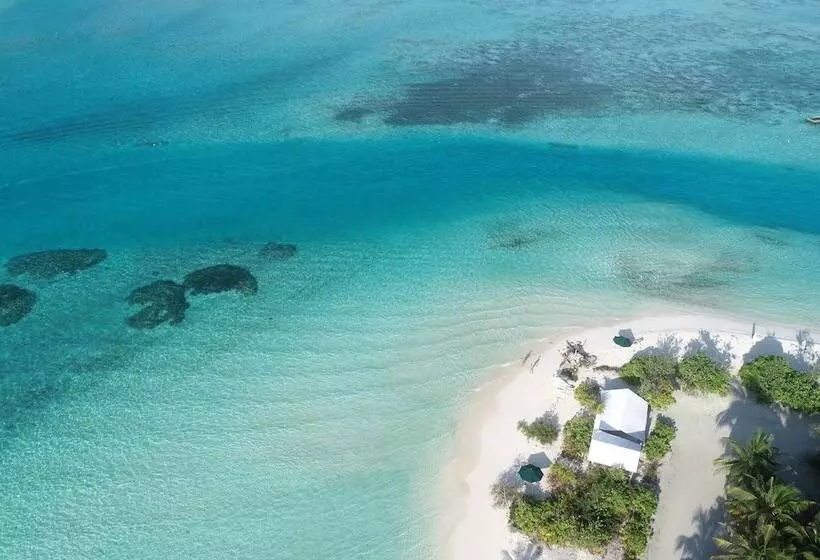 پانسیون Araamu Hotels Maldives At Dhiffushi