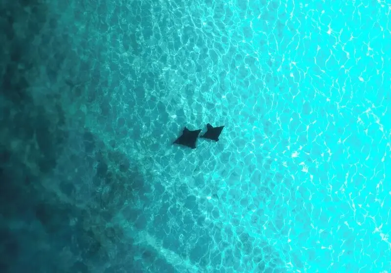 پانسیون Araamu Hotels Maldives At Dhiffushi