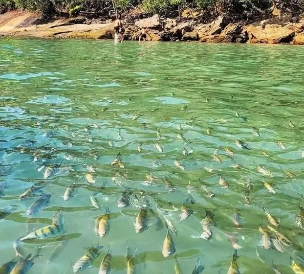 ペンション Pousada Recanto Som Do Mar