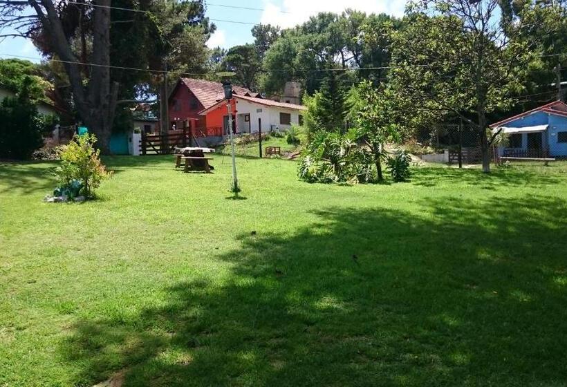 هاستل Alquiler Zona Centro