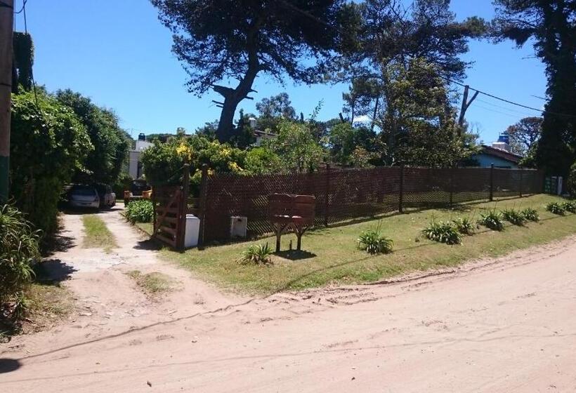 هاستل Alquiler Zona Centro