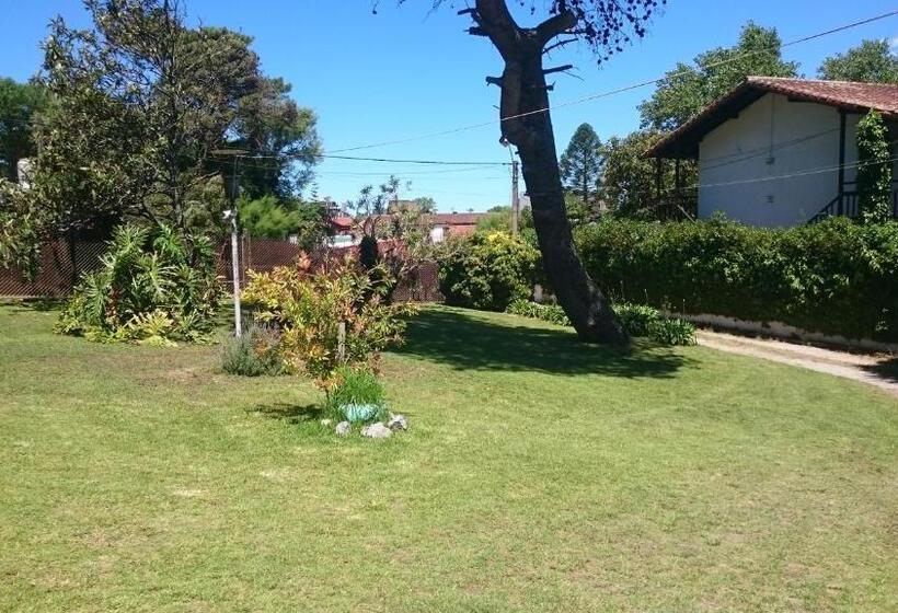 هاستل Alquiler Zona Centro