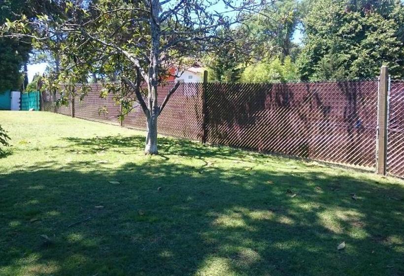 هاستل Alquiler Zona Centro