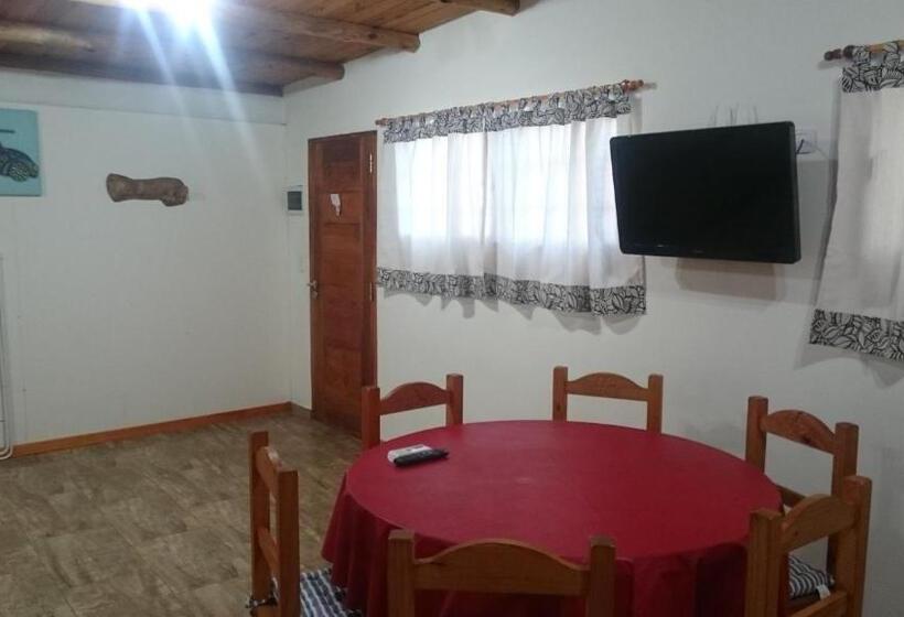 هاستل Alquiler Zona Centro