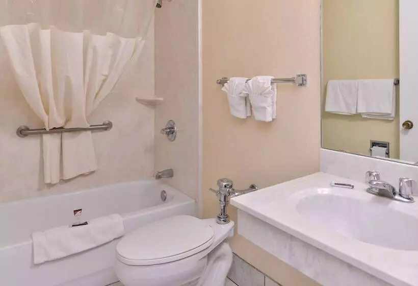 モーテル Scottish Inns & Suites