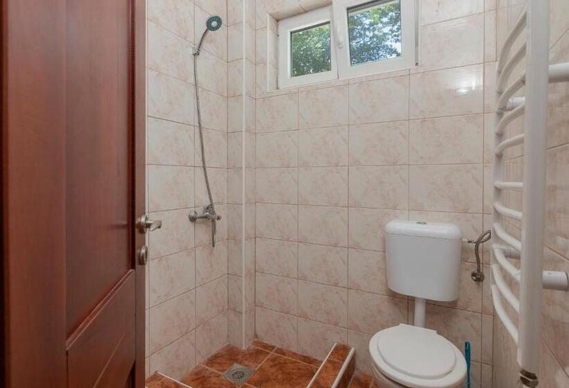 پانسیون Guest House Vila Vedesa