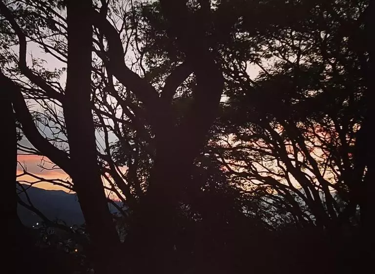 Majatalo Los Tarcos Guest House