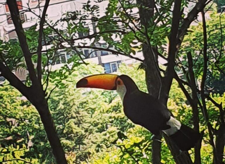 펜션 Los Tarcos Guest House