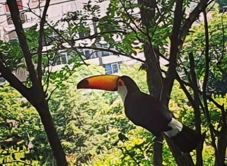 Majatalo Los Tarcos Guest House