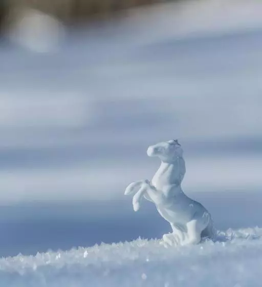 Romantik Residenz   Dependance