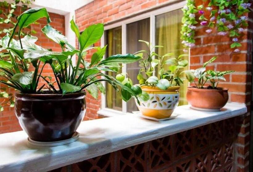 پانسیون Hospedaje Caney Descanso & Tradición Ayenda 1422