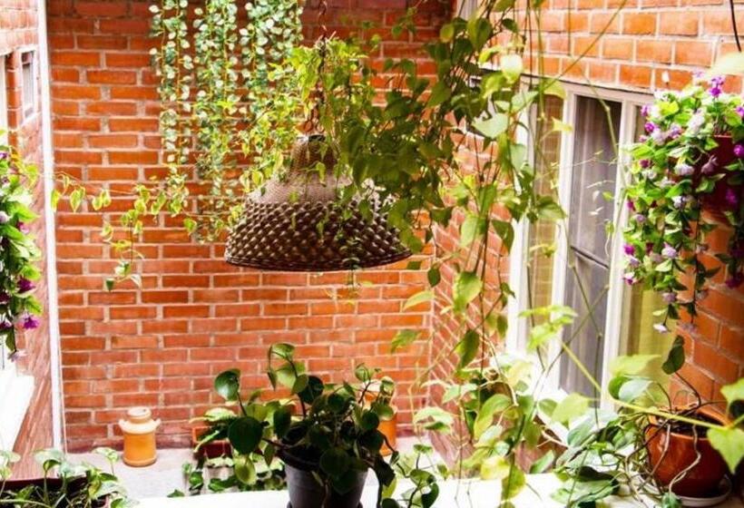 پانسیون Hospedaje Caney Descanso & Tradición Ayenda 1422