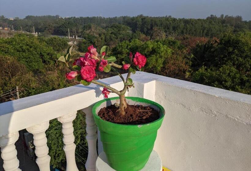 פנסיון Blue Moon Guest House