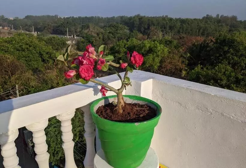 Majatalo Blue Moon Guest House