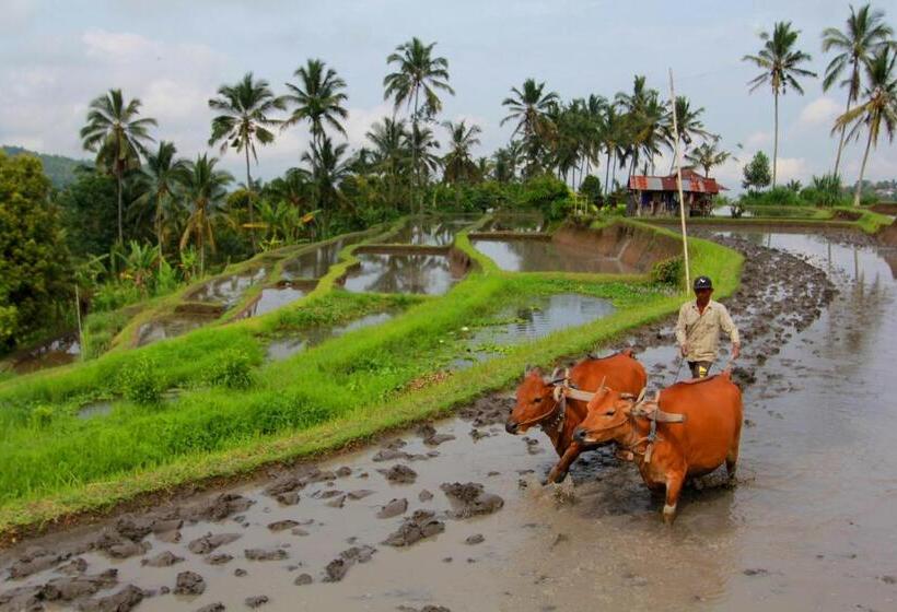 ペンション Bali Bening