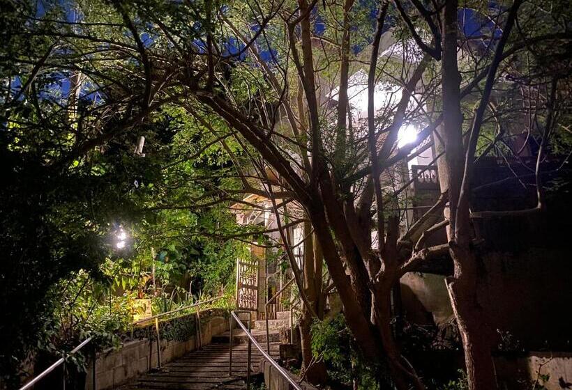 پانسیون Body Balance House