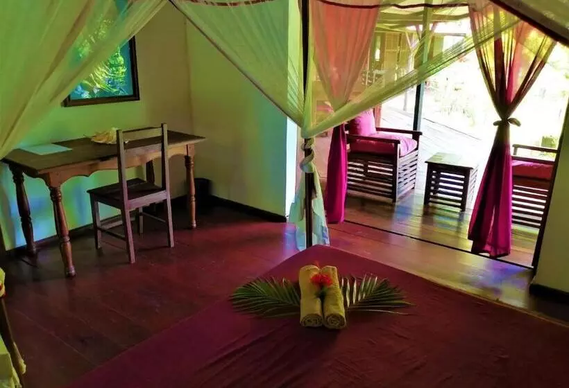 پانسیون Chambres D Hôtes Villa Les Orchidées Chez Ago