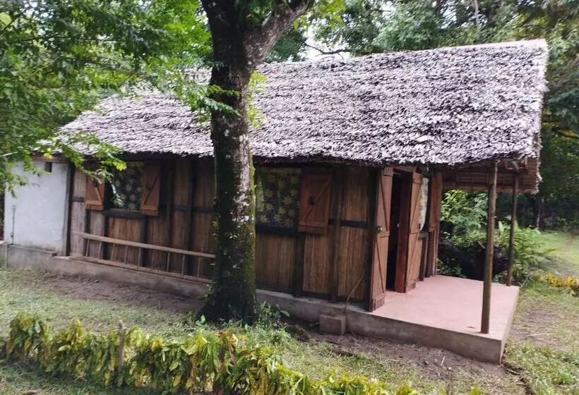 پانسیون Chambres D Hôtes Villa Les Orchidées Chez Ago