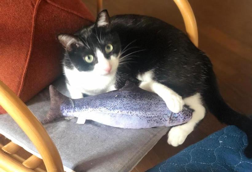 Pensjonat Guest House Ne Doco