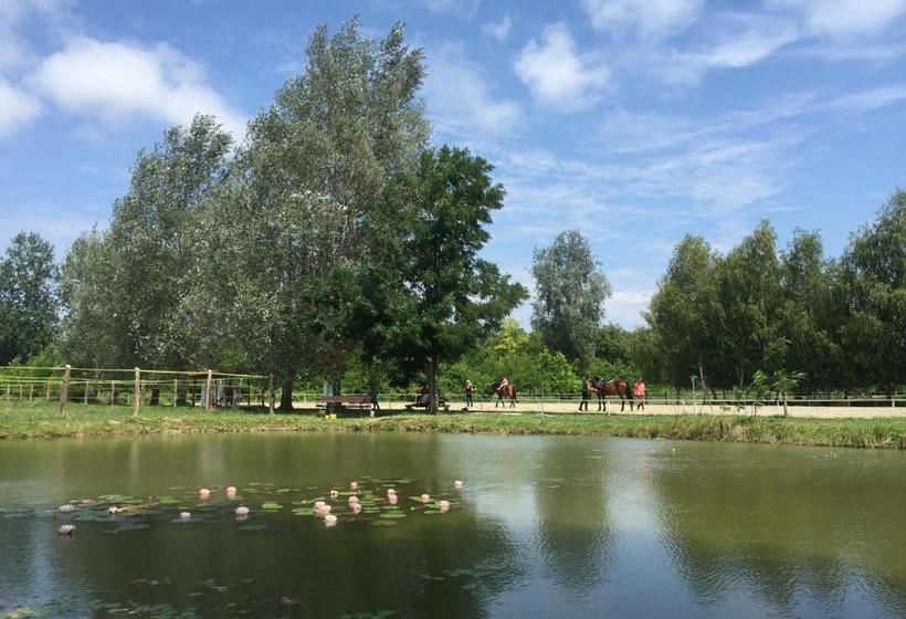 Пансион Mohácsi Wellness Vendégház és Lovasklub