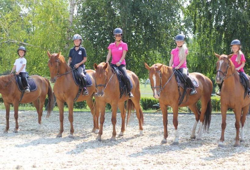 Пансион Mohácsi Wellness Vendégház és Lovasklub